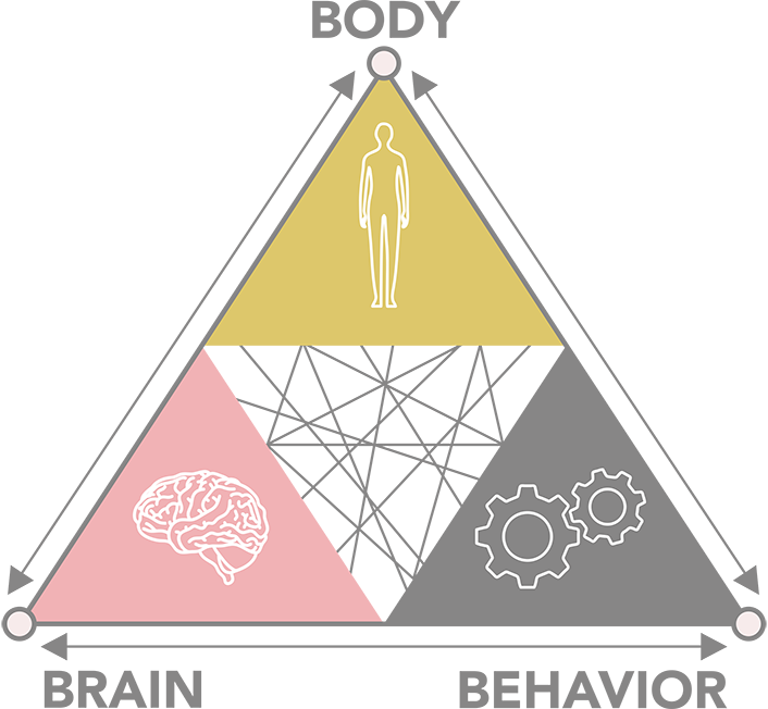 EC_BBBTriangle EC_BBBTriangle